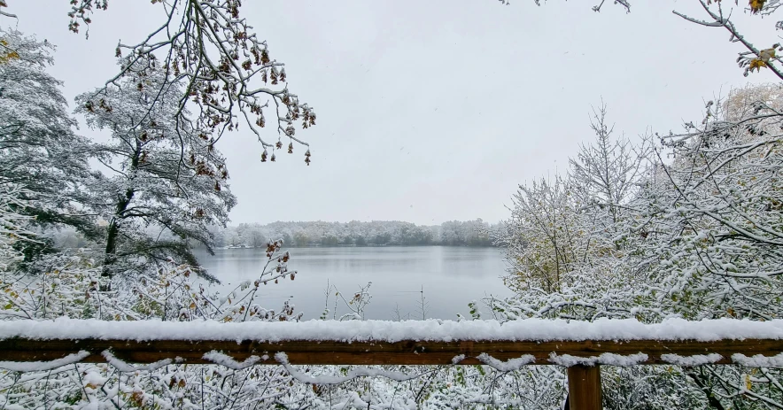 view of lake and trees covered in snow with mist