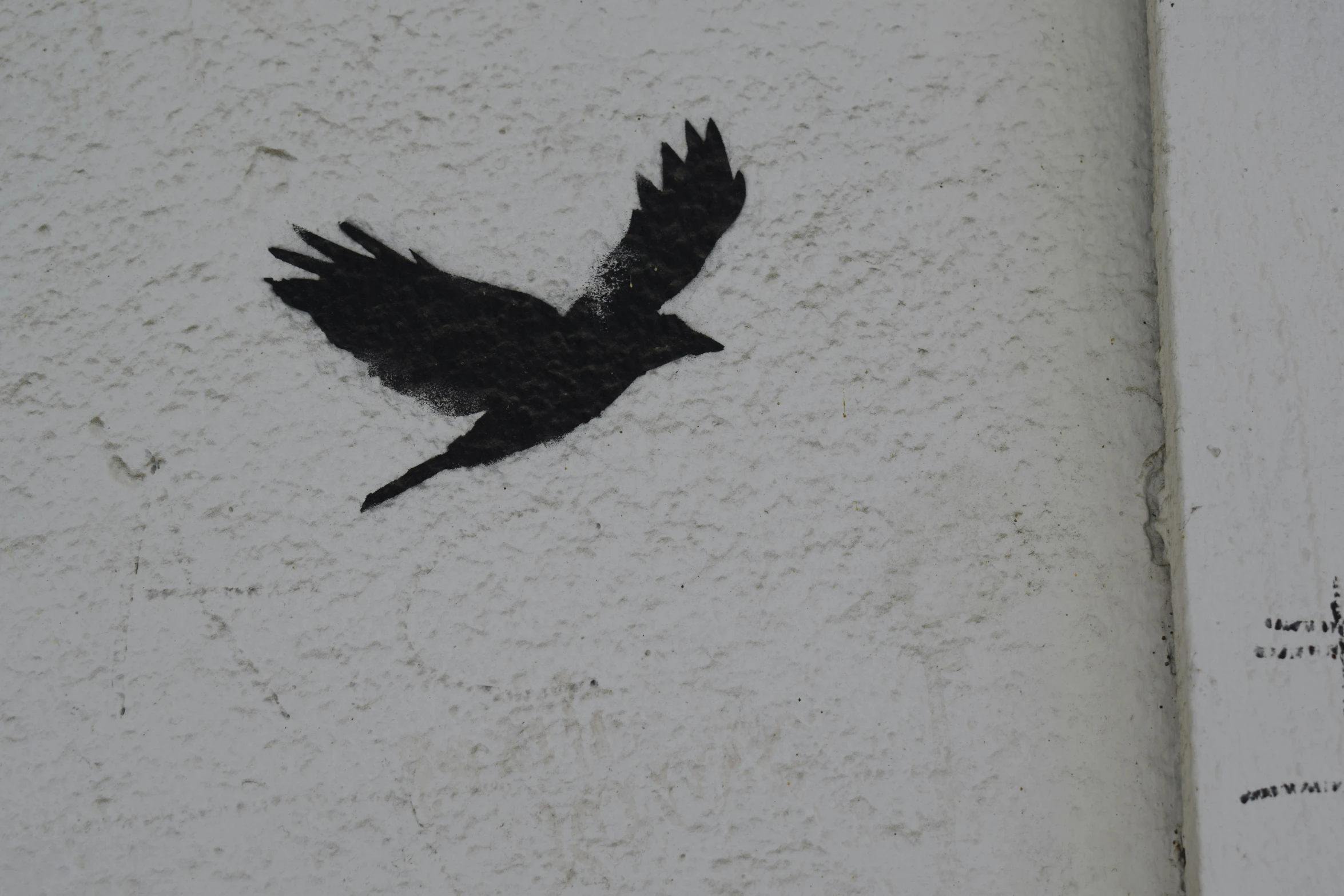 a black bird on a white wall with writing