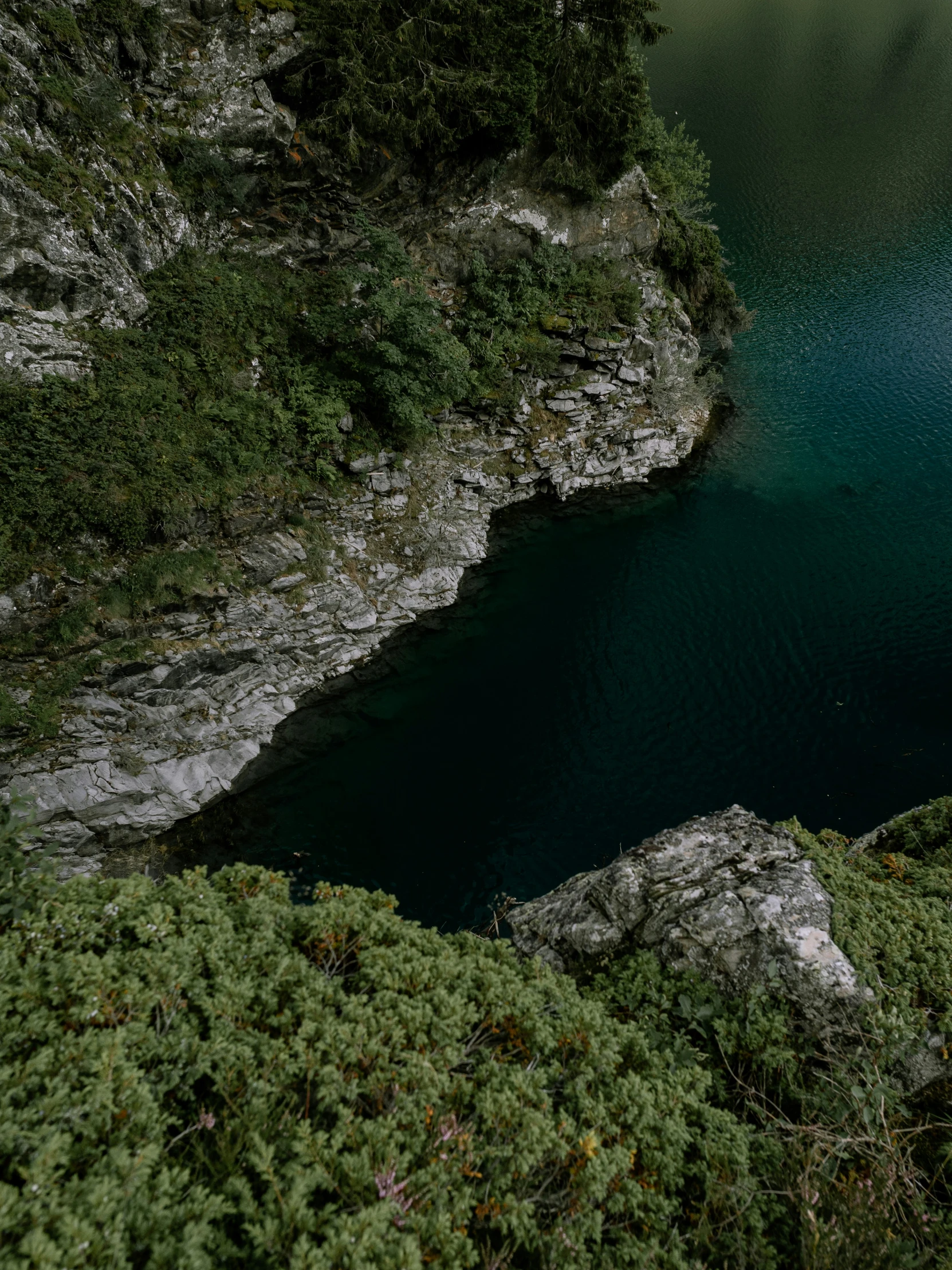 a bird is perched on the ledge of a high cliff above a lake