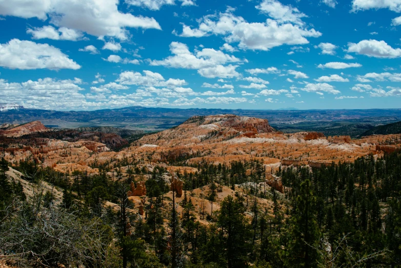 a wide view of the mountains from atop a hill