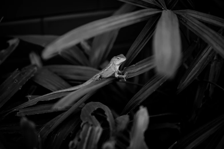 small bird sitting on stem of leafy plant