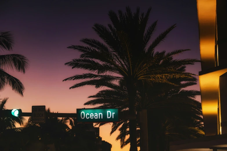 a green street sign under some palm trees