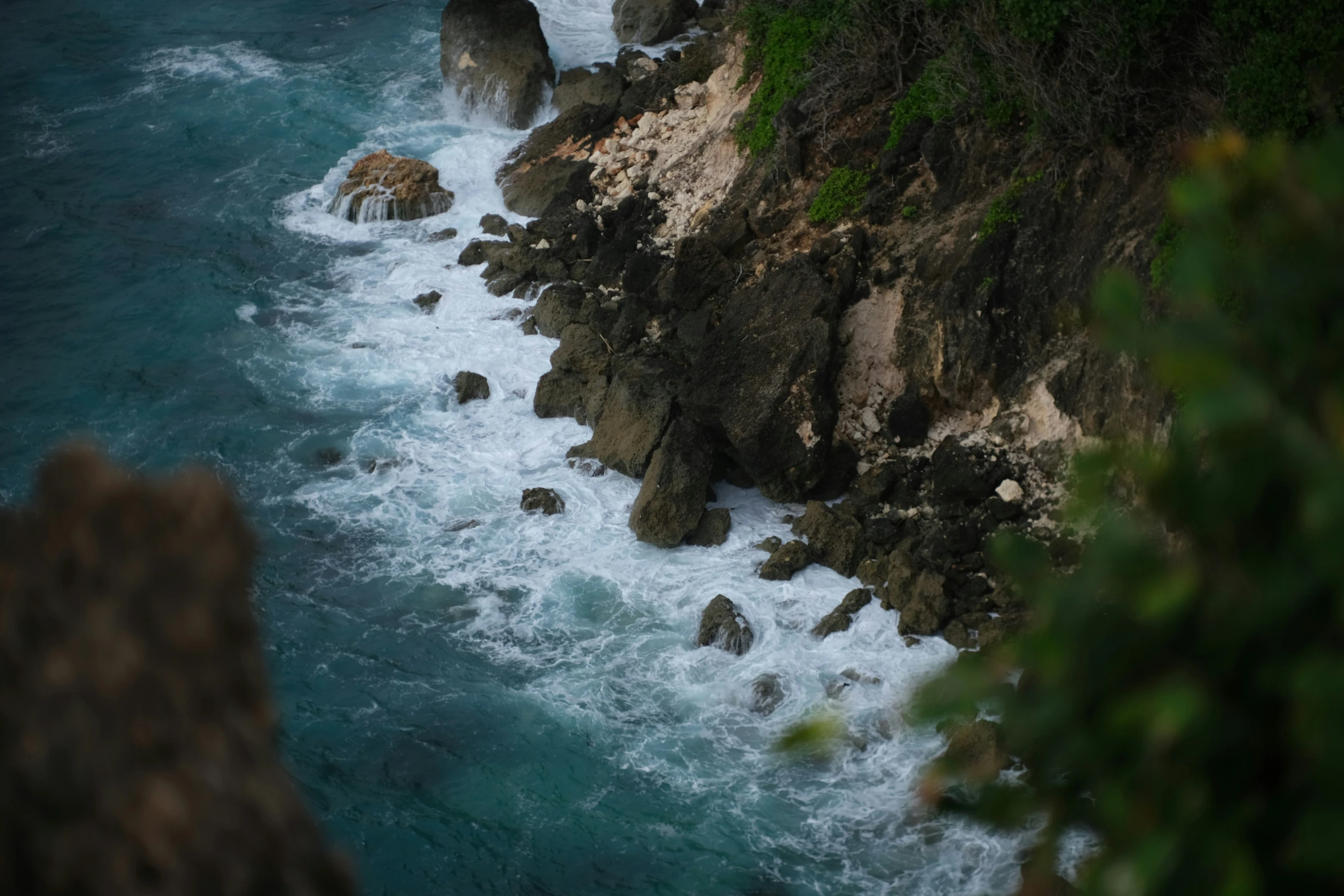 a bird that is sitting on a cliff