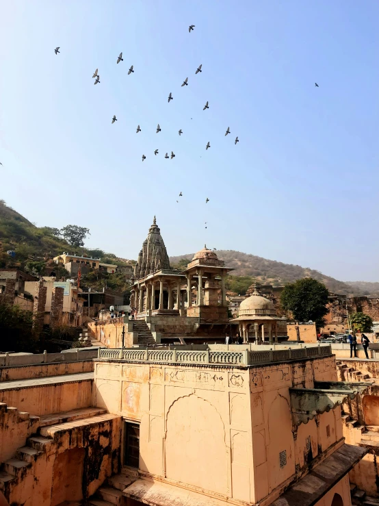 a group of birds flying over a building in india