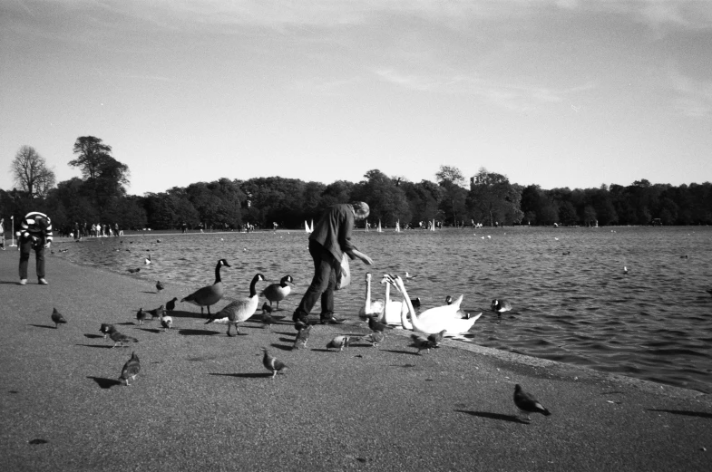 a man feeding birds while standing on the sand