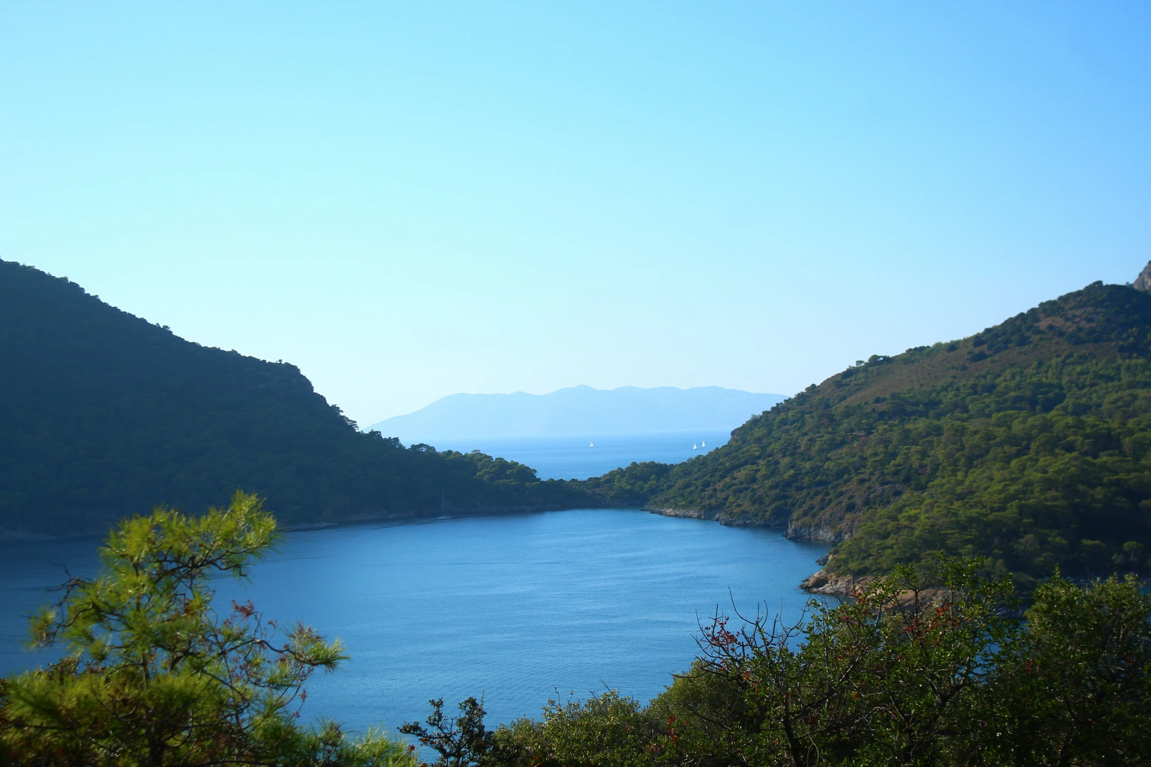 a view of a lake surrounded by trees