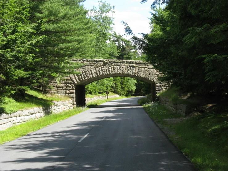 a stone arch on a tree lined road