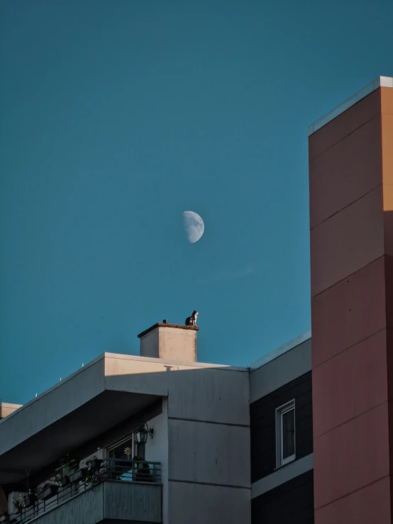 view of the moon over two buildings from below