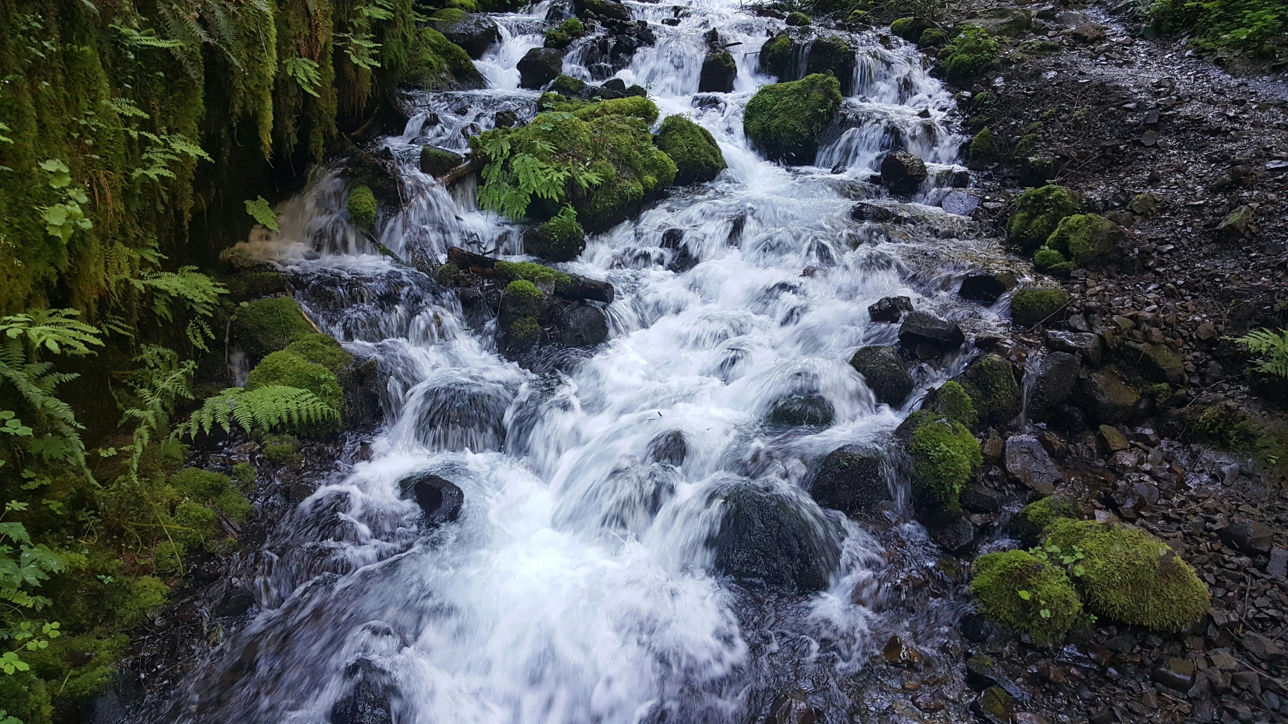 a large waterfall running down a mountain in a forest