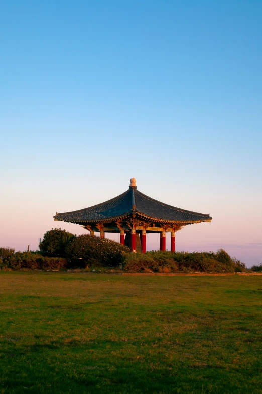 a large pagoda is in the middle of a field