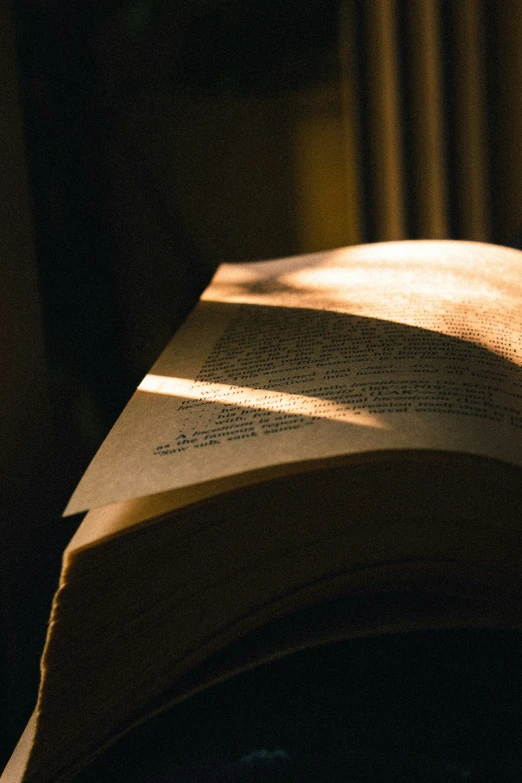 sunlight shines brightly onto a book lying in the shade