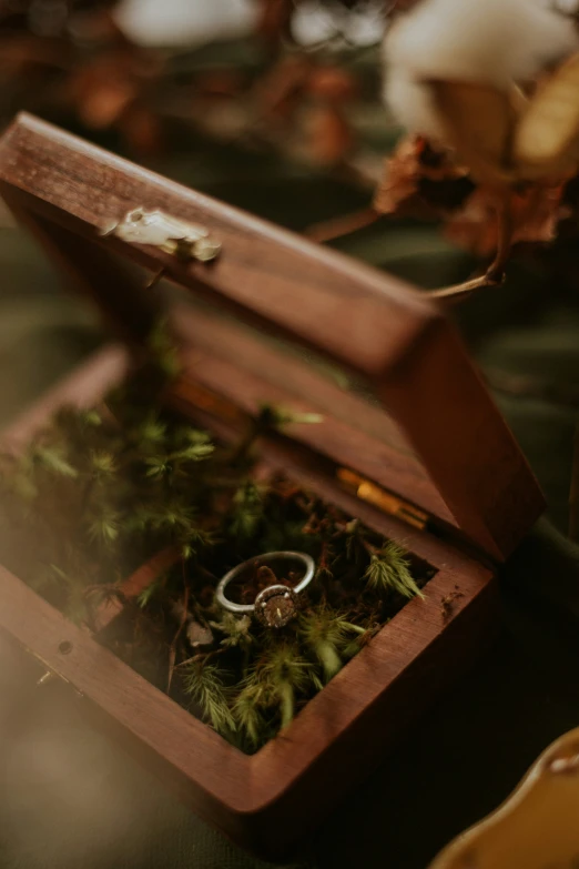 wedding rings and wedding bands sit in an open box