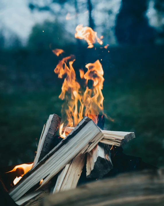 the back end of a small burning camp fire