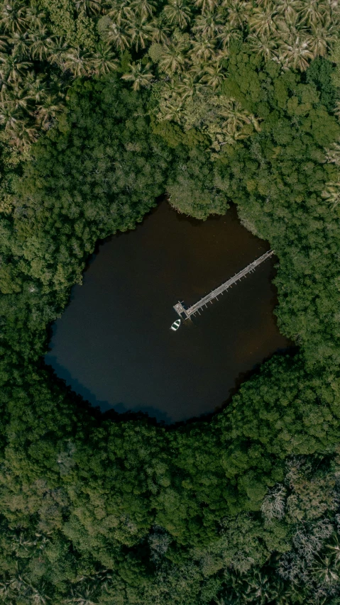 an aerial s of a forest looking down at the boat on the lake