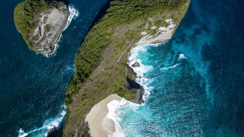 a view of an island near water with two trees