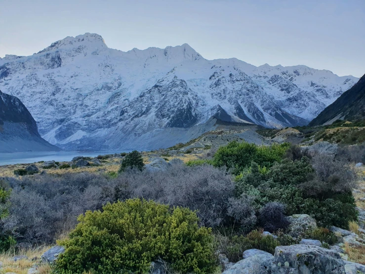 the large mountains are covered in snow and trees