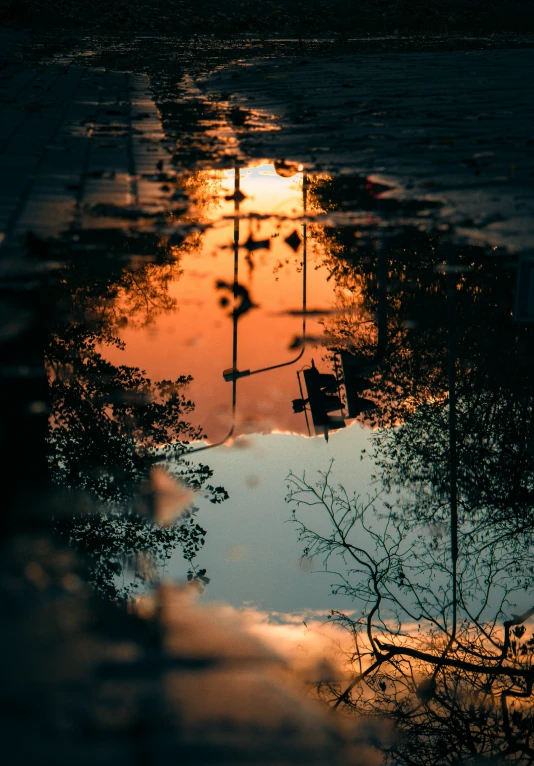 a bench and tree reflected in a dle