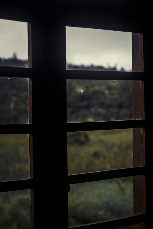 open window with grassy countryside seen through it