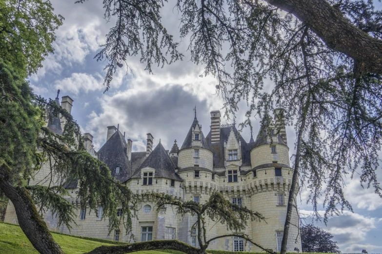 a tall building with lots of windows surrounded by trees