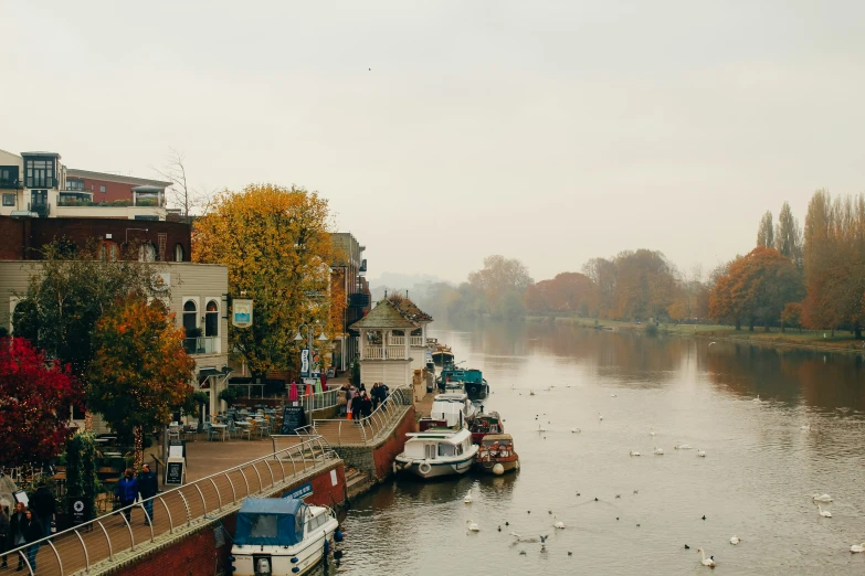 a view of a river that is surrounded by trees