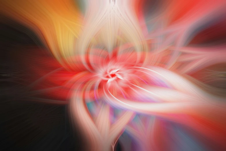 abstract image with large red flower appearing to form a white flower