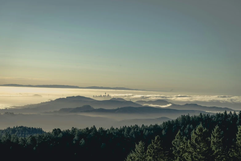 view of a forest and mountains from a cliff