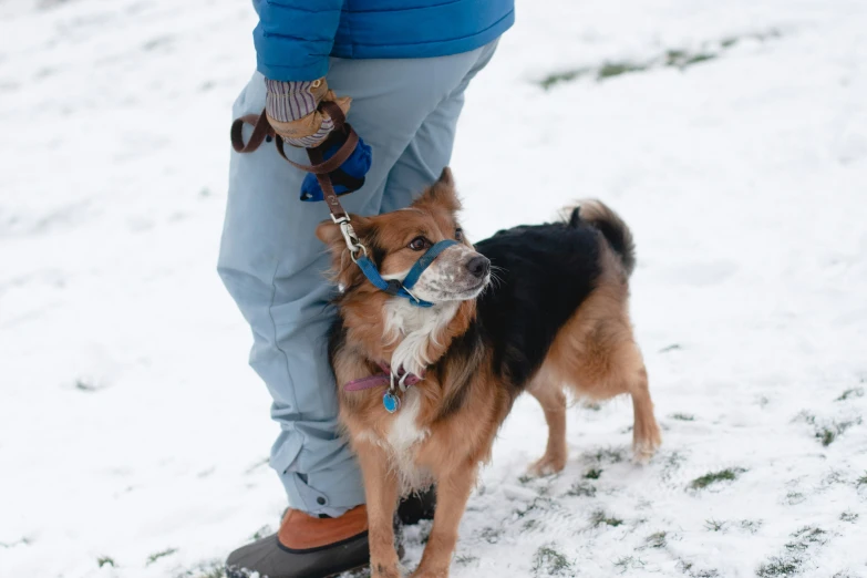 the man and his dog are walking in the snow