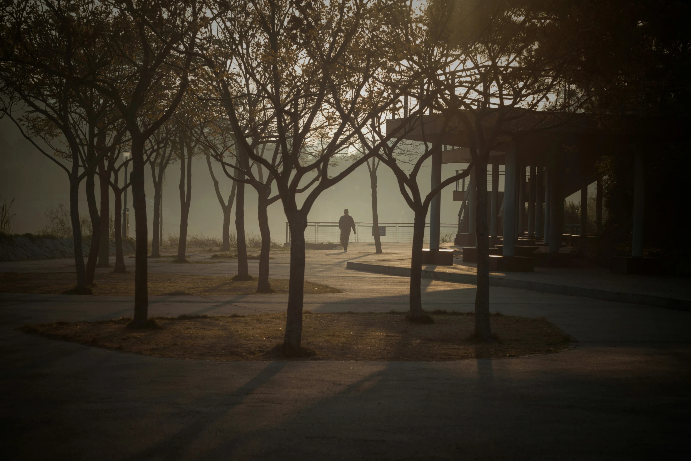 there is a person walking alone in a park at sunset