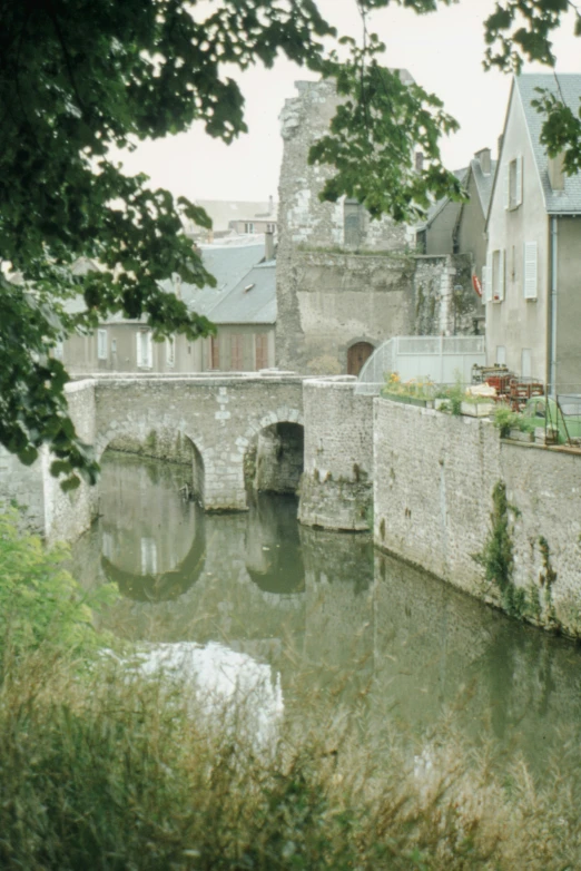 the bridge on the right side of the canal is covered by grass