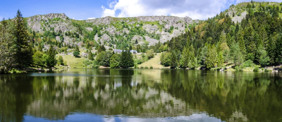 a large pond near a forest in the mountains