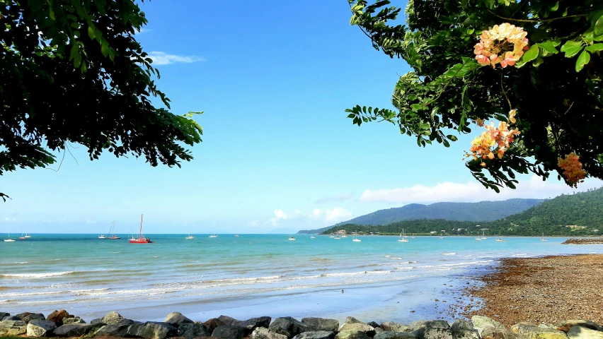 the blue water is calm and the shore is rocky