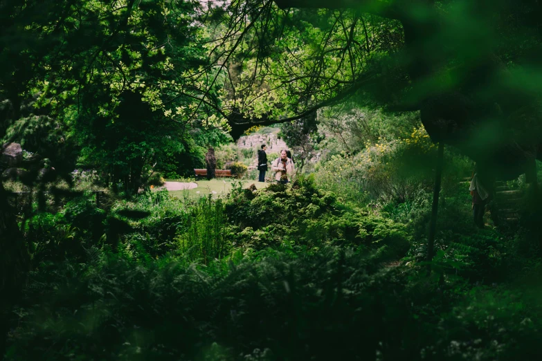 a couple walking down a dirt path through some woods