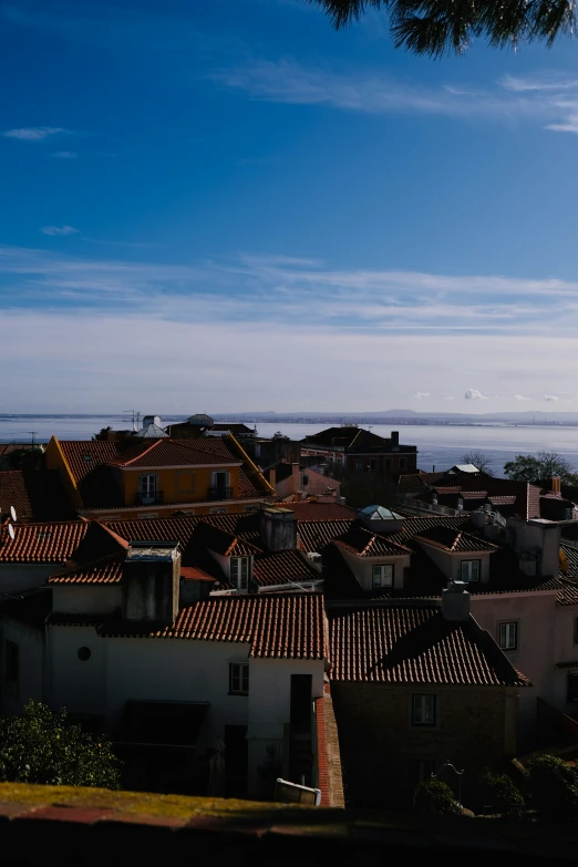 the roofs of many houses are surrounded by water