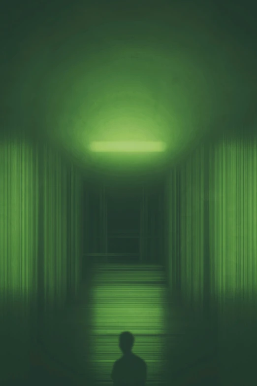 this image appears to be dark from a green colored background