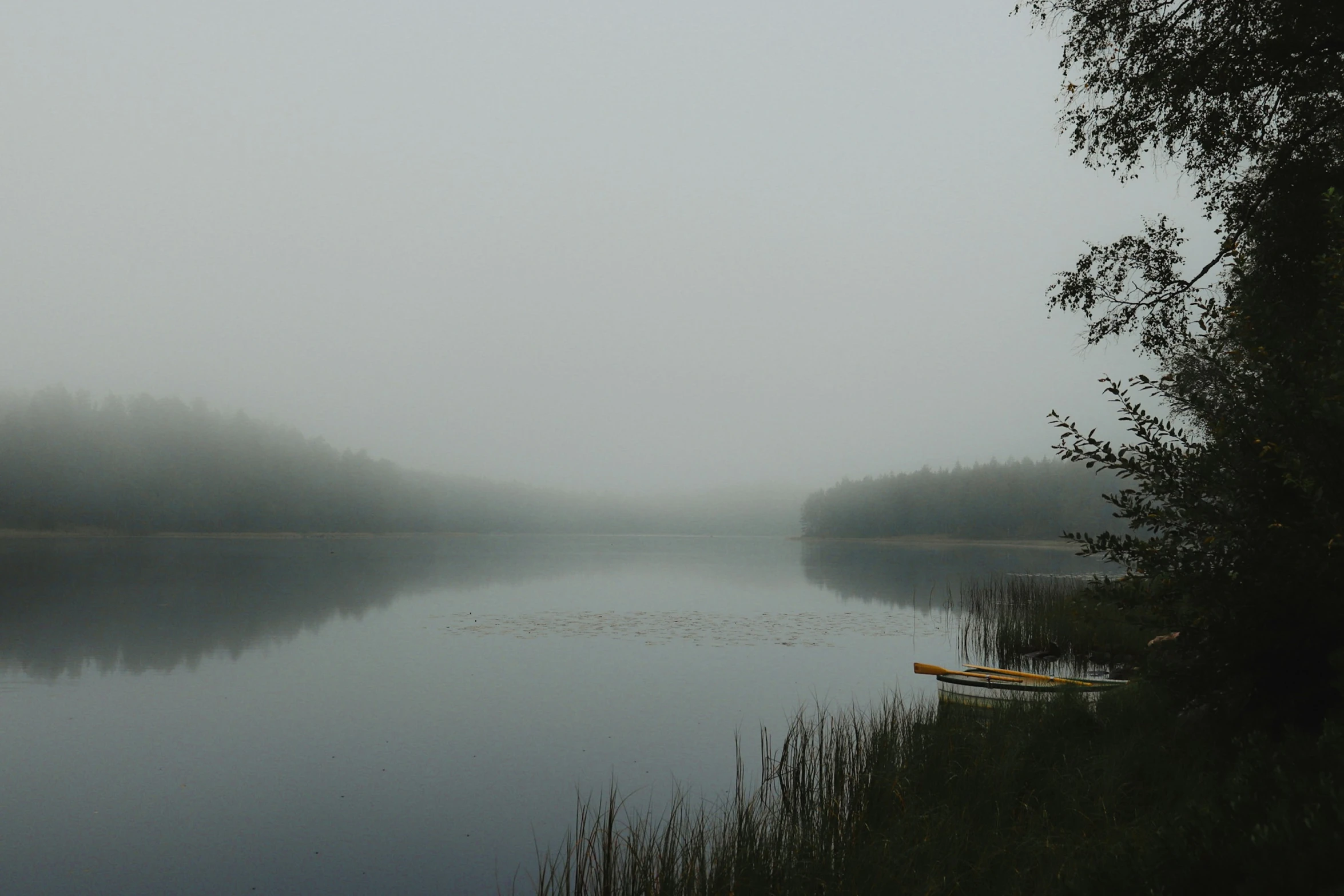 a canoe in a lake, with fog in the background