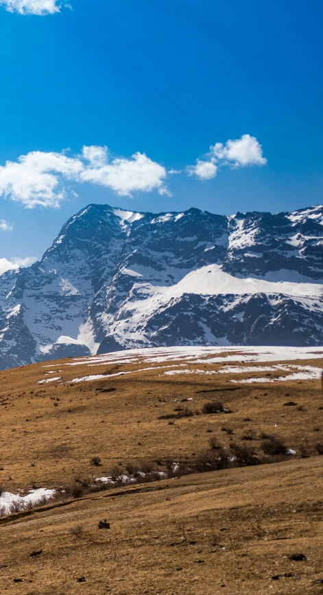 the horse is standing alone in the pasture in front of a mountain