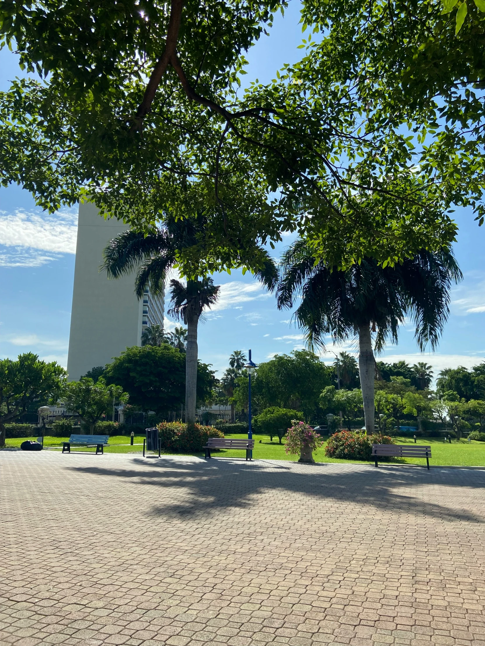 a park with trees, benches, and an over sized clock tower in the distance