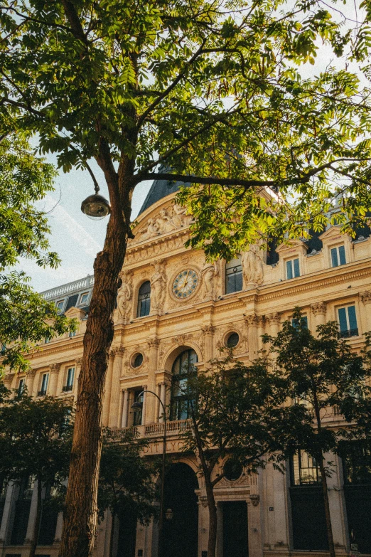 a large stone building next to trees with green leaves