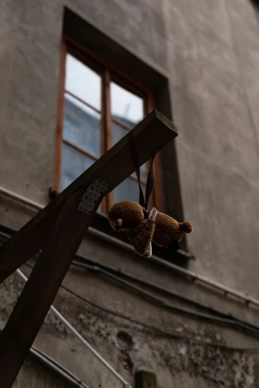 a stuffed bear hanging off the side of an apartment building