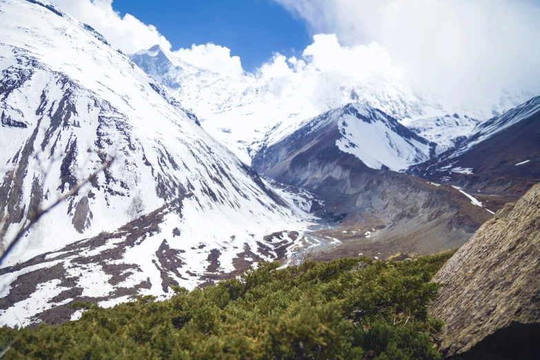 snow on the mountain and shrubs, viewed from the top