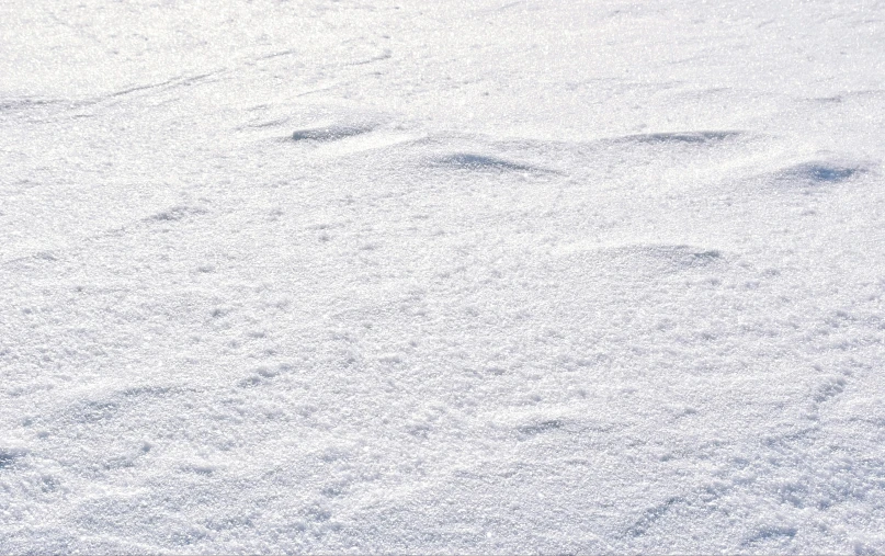 snow covering the ground with small footprints