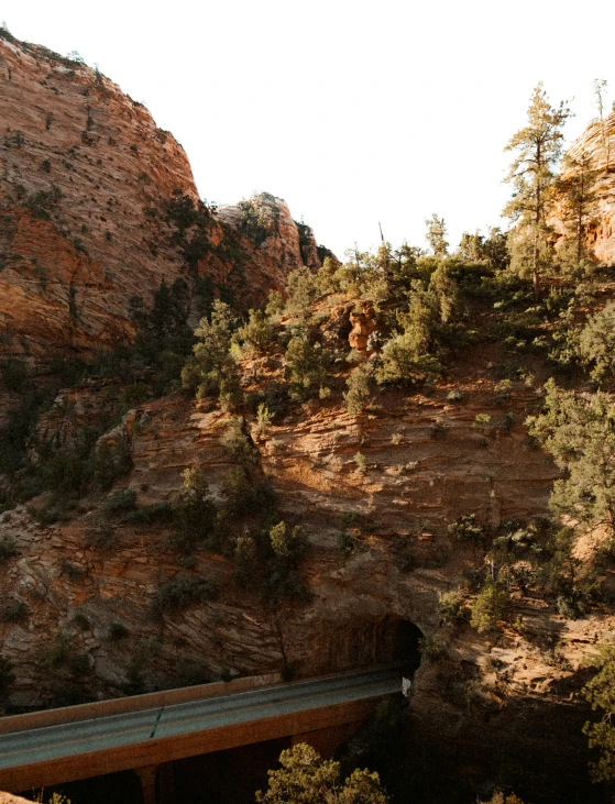 trees stand on the side of a rock wall and mountain