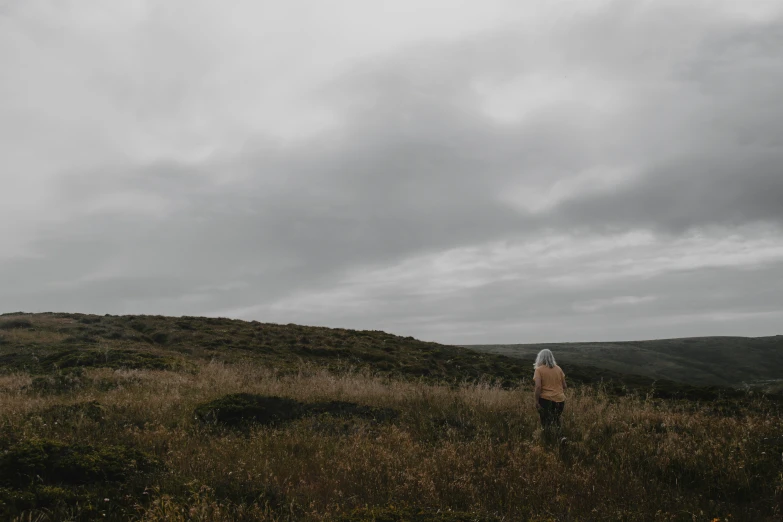 a person standing in an open field under a cloudy sky
