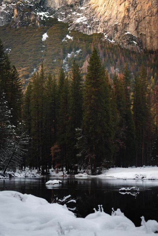 the snow on the ground is melting as trees stand next to a mountain