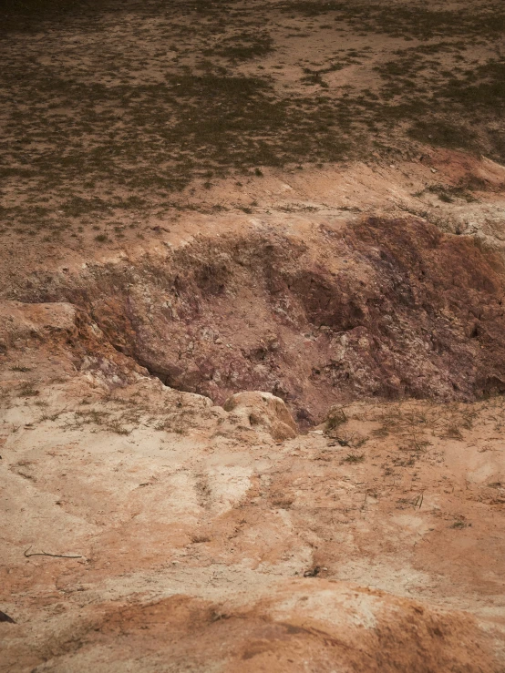 an elephant walks on the dirt path by itself