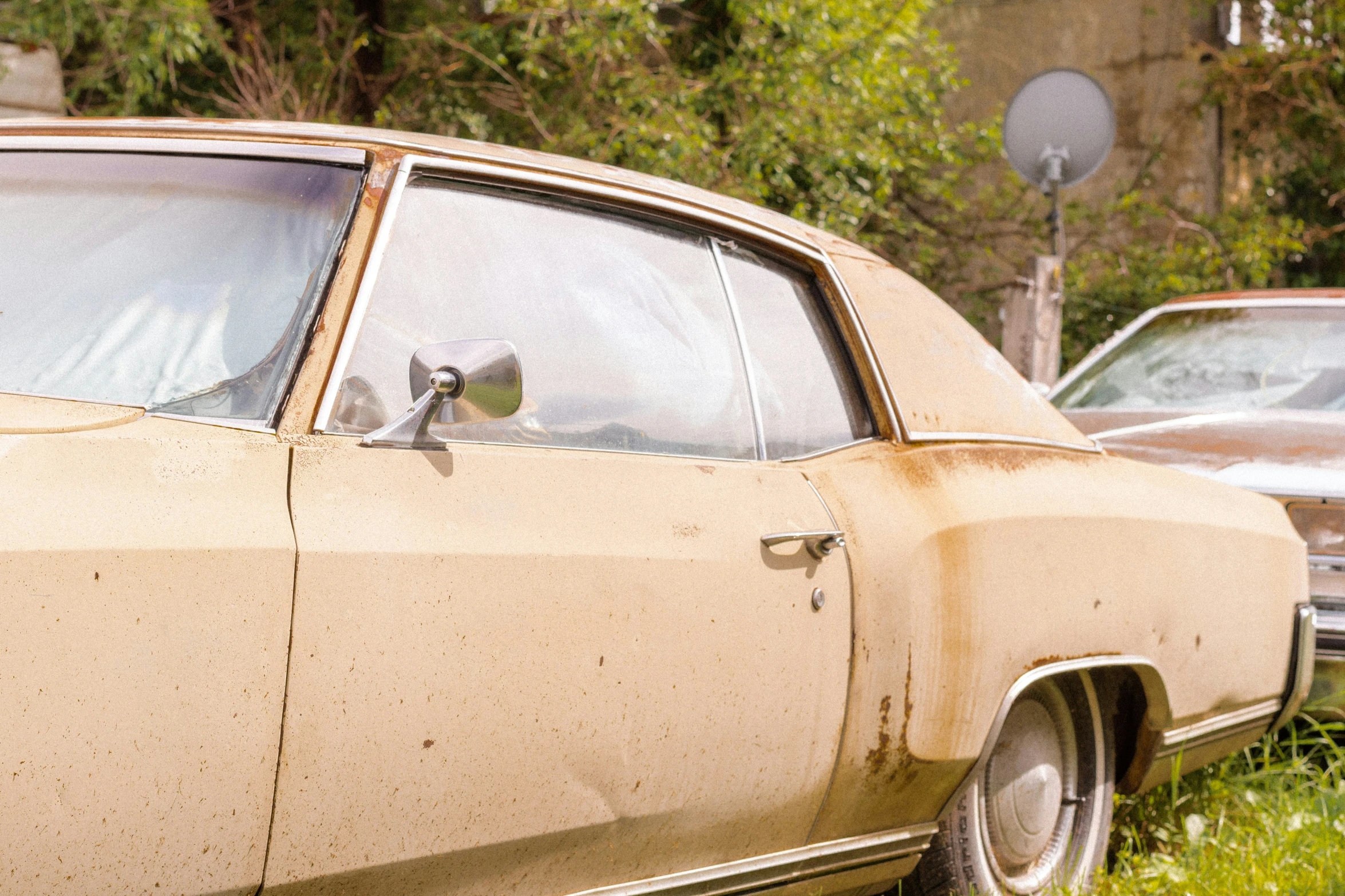 a dog sitting in the side window of an old car