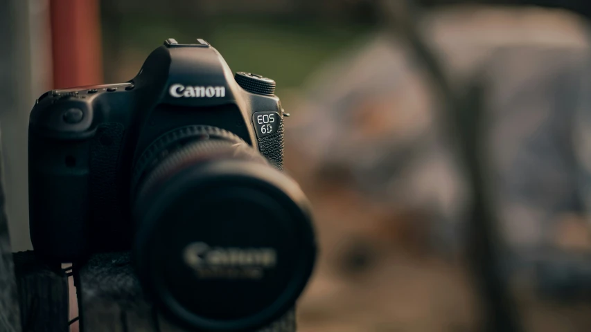 canon's macro - focusing camera sits on a bench outdoors