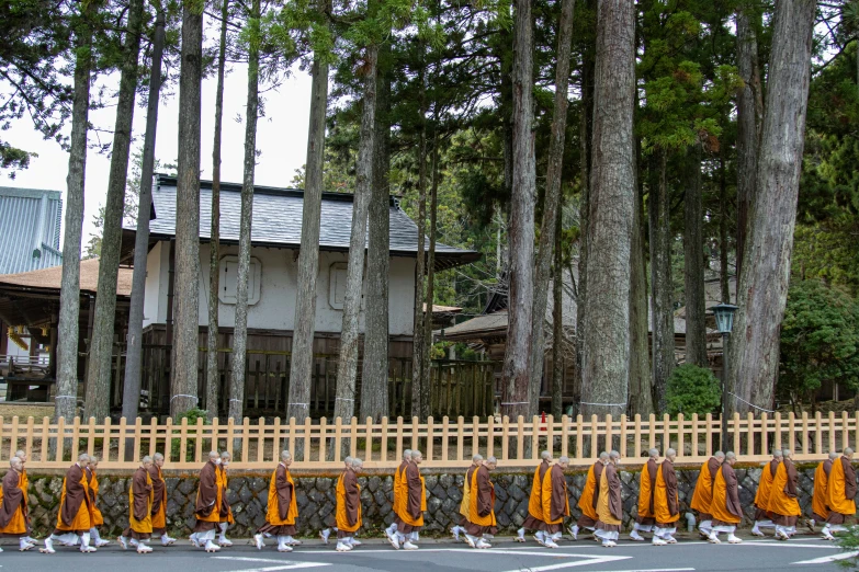 several orange monks dd around a wooden fence