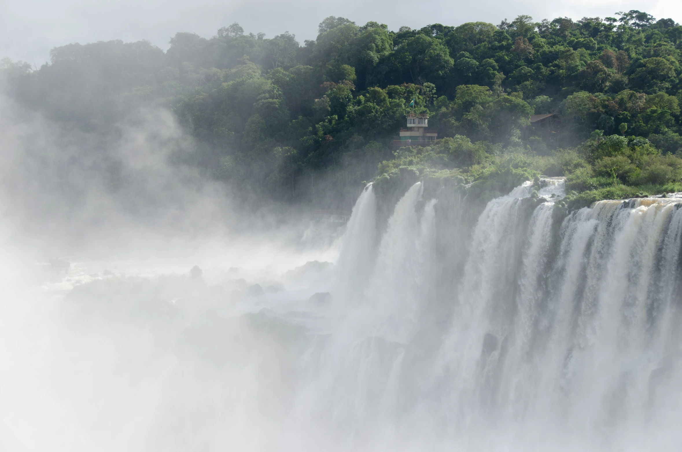 view of waterfall in foreground of jungle with trees below