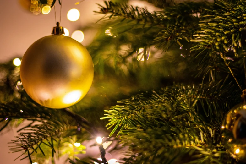 an ornament on a pine tree hanging